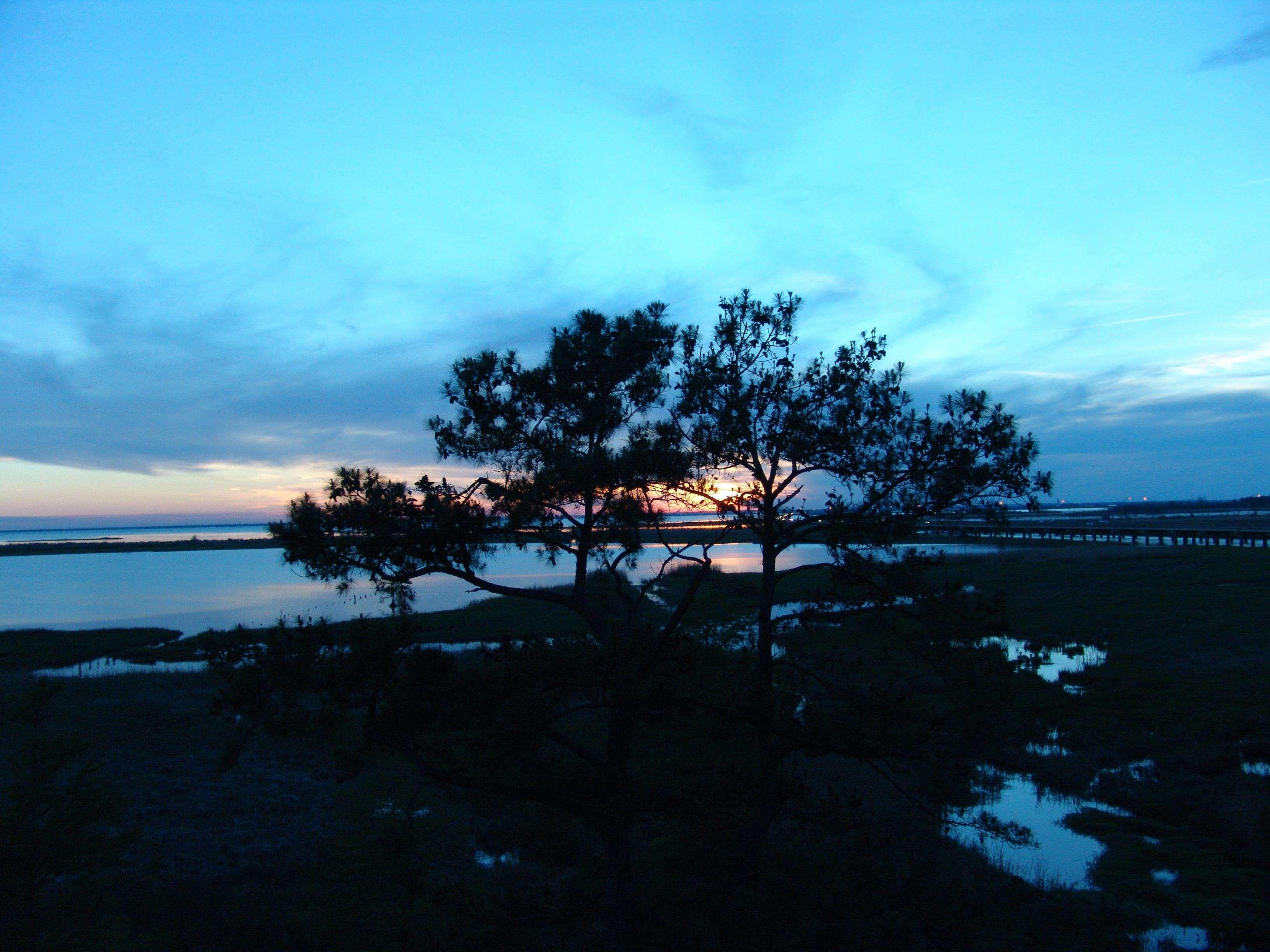 Hampton Inn Mobile/East Bay Daphne Luaran gambar